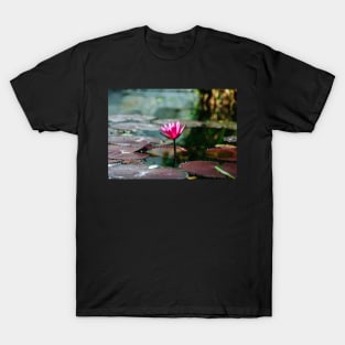 Meditation Wall Art Print - Water Lily Meditation - canvas, Photo print, artboard print, poster Canvas Print T-Shirt